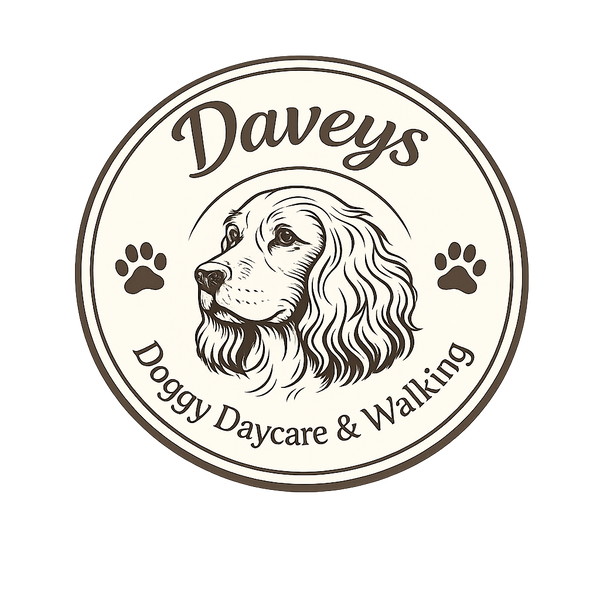 Daveys Doggy Daycare 